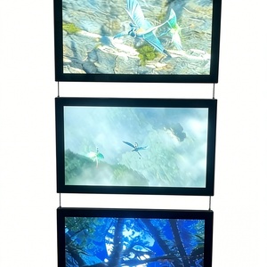 Vente en gros usine : Écran publicitaire LED pour vitrine, machine publicitaire haute autonomie pour l'immobilier - Product Image 2