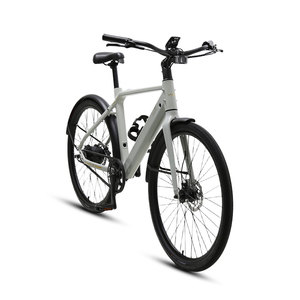Vélo électrique TXED E Urban Tour Gold 700C 36V 250W 9.8Ah Batterie au lithium Frein à disque hydraulique à 3 vitesses Cadre en aluminium 25 km/h Max - Product Image 3