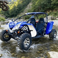 Raxen Offroad UTV 300cc OEM ODM, moteur essence automatique, homologué CE pour adultes, CVT, 4 roues motrices, 2 places, aventure en parc