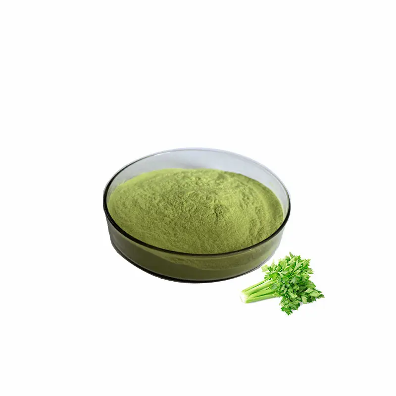 Factory Supply Organic Celery Juice Powder 100% Celery Powder Freeze-dried Powder