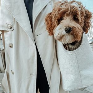 SinSky Fashion Convenience Polyester Travel Bag Soft Pet Carrying Supplies Suitable for Small <b>Dogs</b> and Cats - Product Image 6