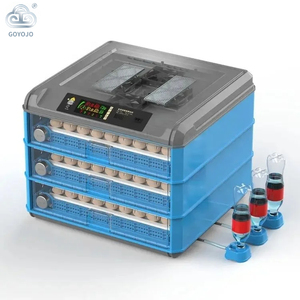 Incubateur GOYOJO 36-500 entièrement automatique pour poulets et éclosoir 220V 35W Garantie 1 an - Product Image 2