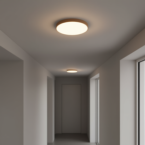 Plafonnier LED moderne et simple 24W, source de lumière naturelle marron, éclairage intérieur - Product Image 2