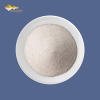 Industrie céramique fonderie silice quartz sable prix par tonne acheteurs Inde Malaisie Egypte