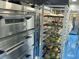 Focusun Refrigeratore Sottovuoto per Piatti Preparati - Raffreddamento Rapido Post-Cottura - Product Image 2