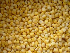 Maïs sucré congelé iqf, <span class=keywords><strong>prix</strong></span> de gros, légumes surgelés - Product Image 6