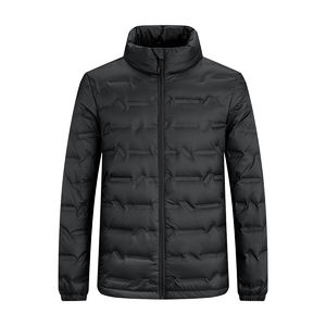 Nouvelle doudoune simple en graphène à lumière chaude, duvet de canard blanc, hiver, grande taille, doublure en duvet, mode, polyvalente, confortable et chaude - Product Image 1