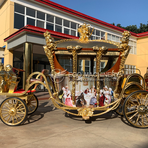 Offre Spéciale Annuelle : Chariot Royal Électrique de Haute Qualité pour Visites Touristiques – Élégance et Confort Garantis - Product Image 3