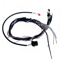 Harness Kabel Listrik Kustom SM 2.54 mm Konektor 8pin ke Harness Kabel Tembaga Listrik Dupont Female