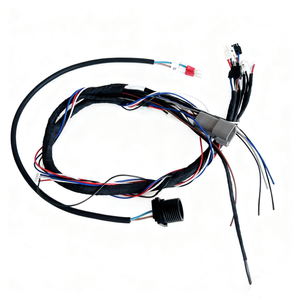 定制电气线束 SM <span class=keywords><strong>2</strong></span>.54 mm 8针连接器转杜邦母头电气铜线束 - Product Image 1