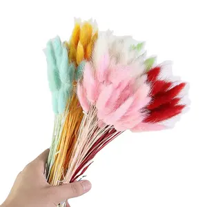Wholesales the bamboo taro flower indoor and outdoor decoration uses the dry flower gem grass rabbit tail grass