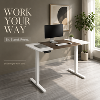 AOR Electric Lift Desk-Office/Computer/E-Sports Desk Split Board Design Extendable Customizable Color Wood Surface Metal Frame