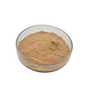 Extrait d'enzyme de levure nutritionnelle de qualité alimentaire - Product Image 2