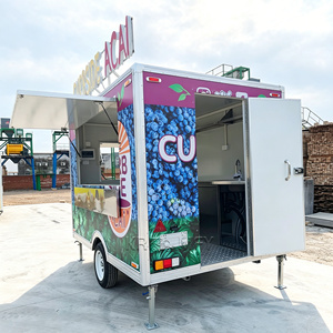 Remolque de Comida Rápida Personalizado con Carrocería de Acero Galvanizado DOT CE Pizza y Cocina Completa para Helados - Product Image 3