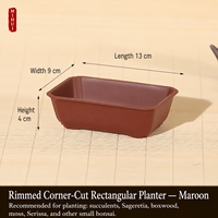 Pots à fleurs rectangulaires carrés pour plantes succulentes, en résine céramique, design respirant, plastique épaissi, écologique, style chinois rustique