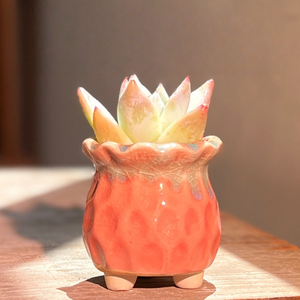 Maceta de Cerámica Ecológica con Degradado de Color Macaron, con Orificio de Drenaje, Decoración Creativa para Interiores - Product Image 5