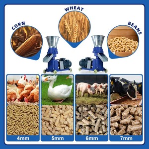 <span class=keywords><strong>Nuova</strong></span> Macchina per Pellet di Mangime Animale ad Alta Capacità 220V, Produzione 60-75kg/h, Vendita all'Ingrosso - Product Image 3