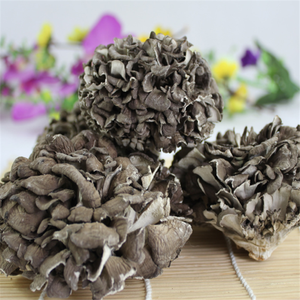 Hui Shu Hua, <span class=keywords><strong>Precio</strong></span> al por Mayor, Hierba Natural China, Grifola Frondosa, Hongos Maitake Secos - Product Image 5