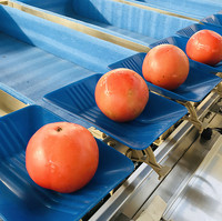 Fabrieksprijs Automatische Fruitgroente Sortering Appelaardappel Tomaat Oranje Avocado Ui Sortering Wasmaat Weegmachine