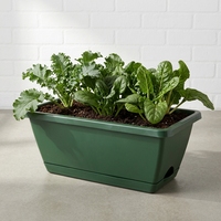 Pot de fleurs rectangulaire en plastique blanc, grand format, style Japandi contemporain, avec trou de drainage, pour usage intérieur/extérieur, maison et jardin