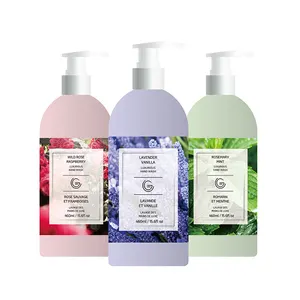 Toilet Perfume Private Label OEM 460ml customized fragrance moisturizing hand wash and lotion set