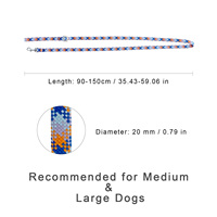 Laisse pour chien personnalisable, durable, pour l'extérieur, laisse pour animaux de compagnie, douce et confortable, pour la promenade des animaux