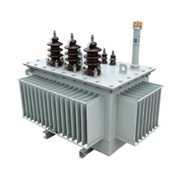Transformateur de distribution immergé dans l'huile S11-M 11kV/400V, faible perte à vide, tension et capacité personnalisées