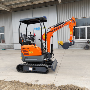 Mini Excavadora con Motor, Diseño Chino Rentable - Product Image 5