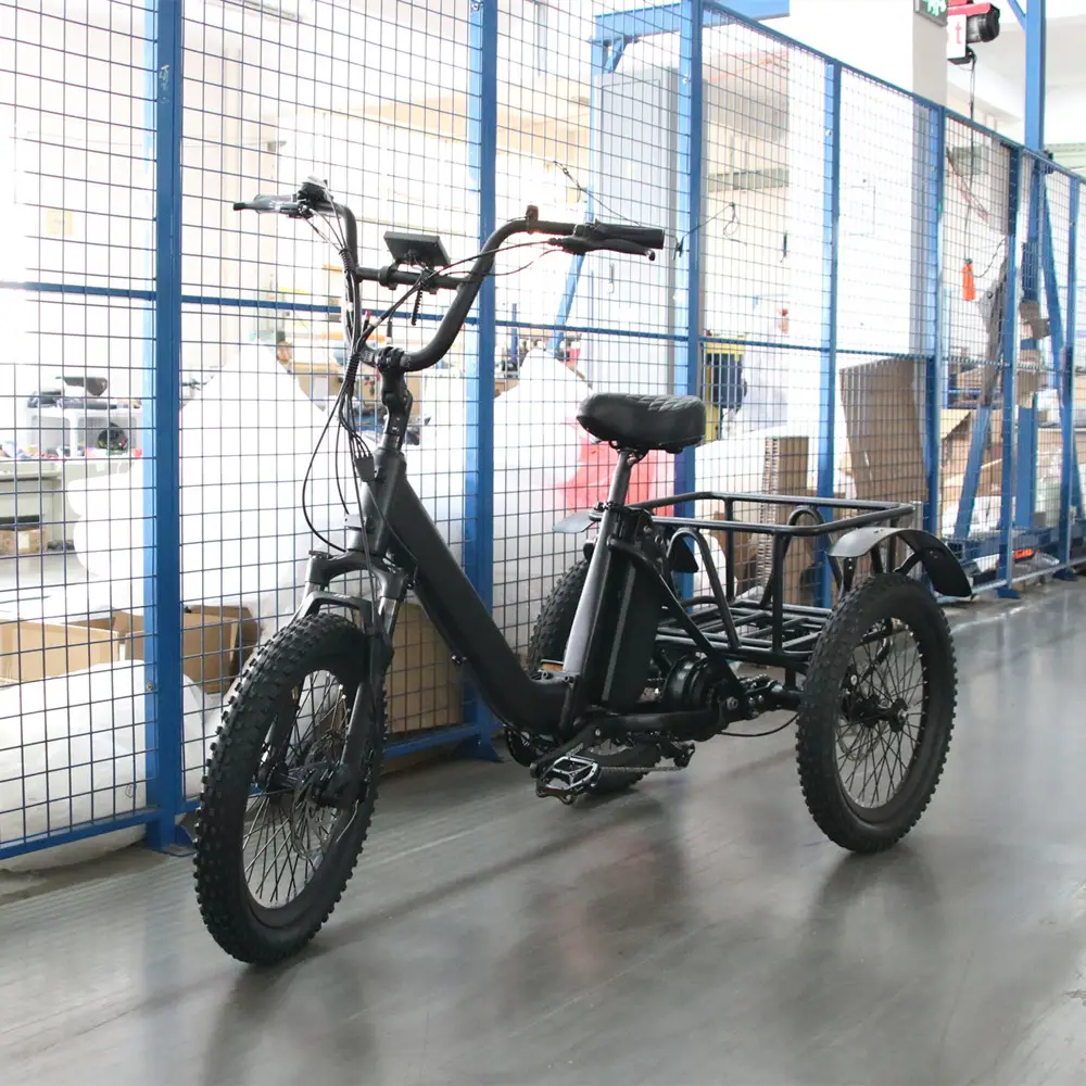 Nouveau design tricycle adulte à 3 roues vélo électrique à trois roues e cargo bike en vente