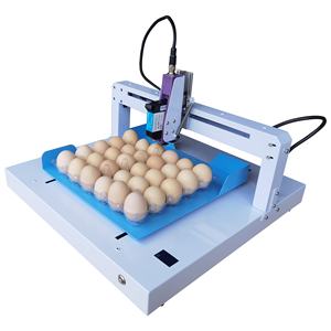 Machine de codage de date compacte pour lots industriels, pour plateaux et cartons, haute productivité, faible bruit - Product Image 3