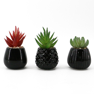 Bonsái de plantas <span class=keywords><strong>suculentas</strong></span> artificiales de cerámica natural, juego de macetas para decoración del hogar - Product Image 2