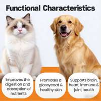 Compléments articulaires pour animaux de compagnie : Soutien général à la santé, compléments pour les hanches et les articulations des chiens, boost de vitalité quotidien pour les animaux de compagnie – Se vendent comme des petits pains !