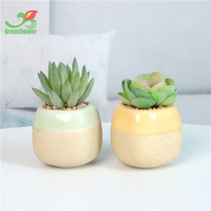 <span class=keywords><strong>Piante</strong></span> <span class=keywords><strong>grasse</strong></span> artificiali <span class=keywords><strong>in</strong></span> vasi fioriera <span class=keywords><strong>in</strong></span> ceramica piccola Mini decorazione per <span class=keywords><strong>piante</strong></span> per la casa - Product Image 4