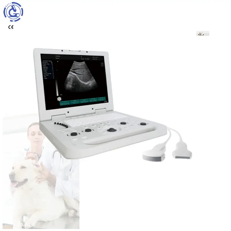 Harga promosi MSK pemindai Ultrasound bersama 3D