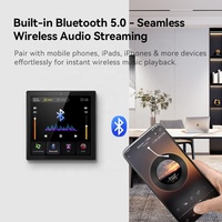 Sistema de Música Ambiental Exclusivo para Apartamentos, Reproducción en Dos Zonas, Creando una Experiencia de Audio Inmersiva para Espacios Reducidos