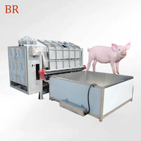 Machines d'abattoir de porcs à haut rendement pour abattoir halal à moyenne et grande échelle