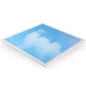 新产品IP20 IP44蓝色天空云面板led 60x60蓝色天空led灯面板40w