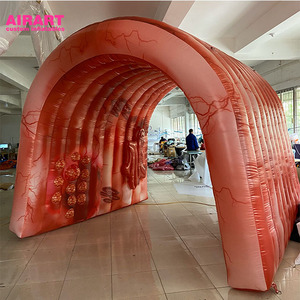 2020년 신형 대형 인플레이터블 대장, 대장암 과학 박람회용 - Product Image 1