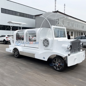 Factory Customized Vintage Black Coffin Carriage Horse Wagon Antique Electric Buggy Electric Funeral Horse Hearse - Product Image 1