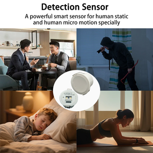 उच्च परिशुद्धता माइक्रोवेव रडार एसी 100-220 वी या डीसी 12-48 वी जिग्बी मानव उपस्थिति सेंसर स्मार्ट अधिभोग सेंसर - Product Image 6