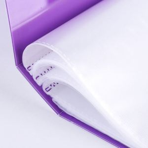Factory Direct Sales Stock Custom Logo Printable PP Office <b>Storage</b> Presentation <b>Book</b> A4 Transparent Wholesale Display <b>Book</b> - Product Image 5