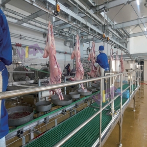 Chăn nuôi cừu Lò mổ thiết bị Lamb carcass giết mổ dây chuyền chế biến máy cho dê butcher máy móc - Product Image 4