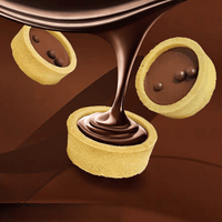 Délicieux biscuits sandwichs au chocolat semi-dur infusés au miel et aux œufs et à la saveur de chips, en sachet, pour des moments de détente