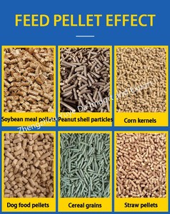 Máquina de pellets <span class=keywords><strong>casera</strong></span> de troquel plano para producir pellets de madera para <span class=keywords><strong>estufa</strong></span> doméstica - Product Image 5