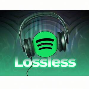 Cuentas Individuales Estables de Spotify Premium, No son Cuentas Compartidas en Grupo Familiar, Invitación Personal, 12 Meses - Product Image 3