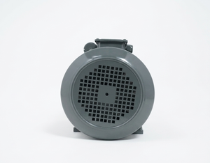 มอเตอร์เหนี่ยวนำเฟสเดียว BI-3-SPL-CI 5 แรงม้า 3.7 กิโลวัตต์ 210-230 โวลต์ 1440 รอบต่อนาที TEFC CSCR ฐานเหล็กหล่อ - Product Image 2