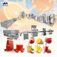 Automatische sinaasappelsapverwerkingsinstallatie complete mangopulp productielijn, inclusief maak- en vulmachine
