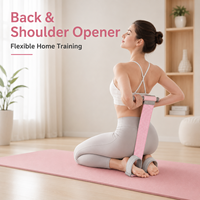 Appareil de Récupération Post-partum du Plancher Pelvien Amélioré avec Pédale et Bande de Résistance pour Exercices de Sit-up, Entraînement des Jambes, du Dos et des Épaules