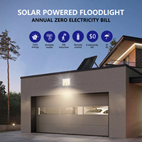 Projecteur Solaire LED 150W Haute Luminosité à Conception Brevetée, 3 Températures de Couleur, Étanche, pour Extérieur, avec Télécommande
