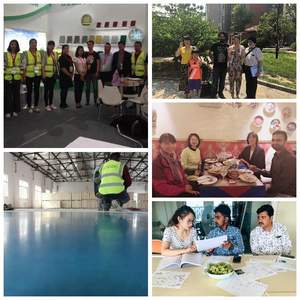 Excellente couche de Base de peinture de sol époxy d'alolin, <span class=keywords><strong>prix</strong></span> tout-en-un, couche époxy Altro, flocons de sol en résine - Product Image 5